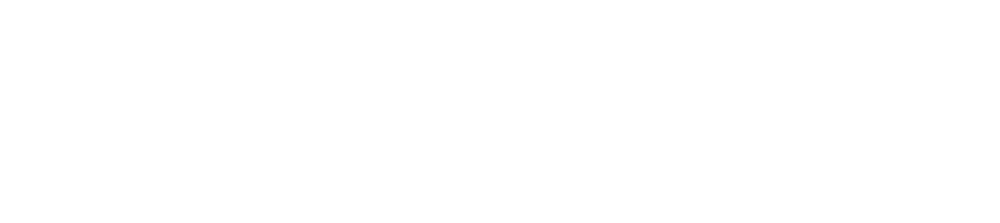 The Stevie Awards
